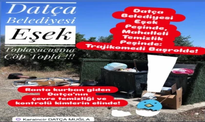 Datça' da Eşekler Toplandı, Çöpler Kaldı: Karaincir’den Belediyeye “Çöp Gibi” Tepki!
