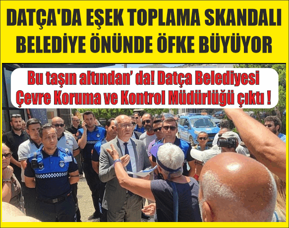 DATÇA'DA YABAN EŞEKLERİNİN ‘’İŞKENCE’’ MUAMELESİ İLE  TOPLATILMASINA TEPKİ YAŞAM SAVUNUCULARI BELEDİYE ÖNÜNDE PROTESTODA