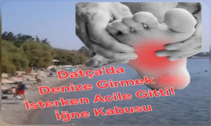 Sahilde Kirlilik Alarmı: İğne Faciası Yetkilileri Harekete Geçirecek mi?