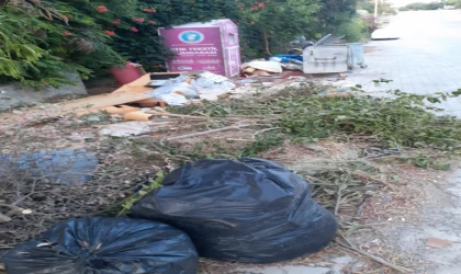 DATÇA'DA ÇÖPLER TOPLANMIYOR MU?