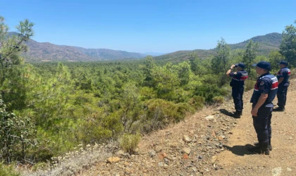 DATÇA'DA ORMAN ARAZİLERİNDE SIKI DENETİM 3 KİŞİYE İDARİ İŞLEM UYGULANDI