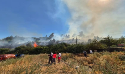DEVLET VE GÖNÜLLÜLER EL ELE – ORMAN YANGINLARINA KARŞI EŞ ZAMANLI SEFERBERLİK