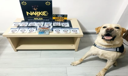 NARKOTİK OPERASYON; 17 YAKALAMA, 5 TUTUKLAMA