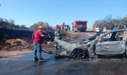 OTOMOBİL YANGINI ORMANA SIÇRADI