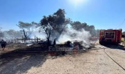 AHIR YANGININDA 14 KÜÇÜKBAŞ HAYVAN TELEF OLDU