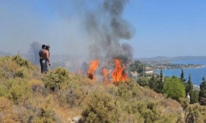 DATÇA'DA ALEVLERE KARŞI EL BİRLİĞİ PANORAMA TEPESİNDE 5 DÖNÜM ALAN ZARAR GÖRDÜ