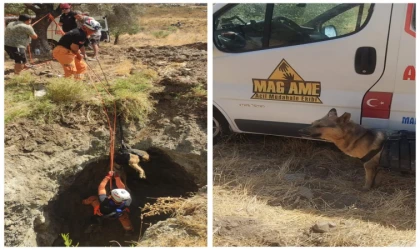 DATÇA’DA KUYUYA DÜŞEN KÖPEK GÖNÜLLÜ EKİP TARAFINDAN KURTARILDI