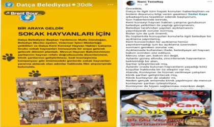 DATÇA’DA SOKAK HAYVANLARI İÇİN TOPLANTI: SORULAR CEVAPSIZ, ŞEFFAFLIK YOK