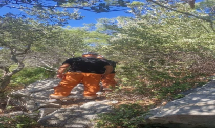 GÖNÜLLÜLERDEN ORMAN YANGINLARINA KARŞI PROAKTİF MÜCADELE