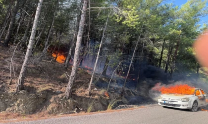 SEYİR HALİNDEKİ ARAÇ YANDI, KIVILCIMLAR ORMANA SIÇRADI - HIZLI MÜDAHALE FELAKETİ ÖNLEDİ