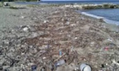  DATÇA SAHİLİNDE ÇEVRE TEPKİSİ: “DİPLOMALI ÇÖPÇÜ”DEN SERT MESAJ