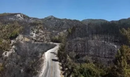 KÖYCEĞİZ'DE 63 SAATLİK YANGIN KABUSU: 4 MAHALLE, 3 BİN HEKTAR, BİRLİKTE MÜCADELE