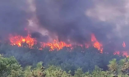 KÖYCEĞİZ’DE ORMAN YANGINI: 108 EV TAHLİYE EDİLDİ, 333 KİŞİ GÜVENLİ BÖLGELERE NAKLEDİLDİK