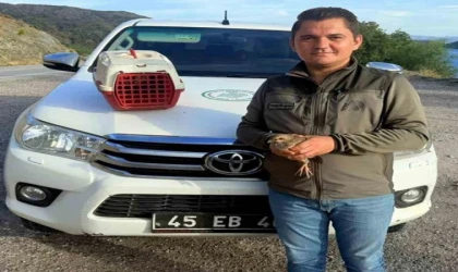 Datça’da Kaçak Kınalı Keklik Satışına Operasyon: Toplam 28 Bin Lira Ceza Kesildi