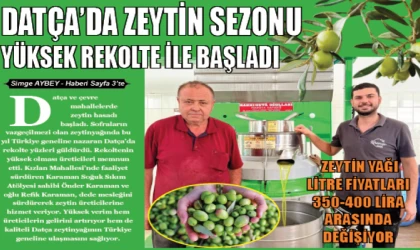 DATÇA’DA ZEYTİN SEZONU YÜKSEK REKOLTE İLE BAŞLADI