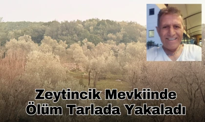 Zeytincik Mevkiinde Ölüm Tarlada Yakaladı