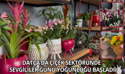 DATÇA’DA ÇİÇEK SEKTÖRÜNDE SEVGİLİLER GÜNÜ YOĞUNLUĞU BAŞLADI