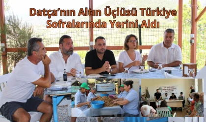 Datça’nın Altın Üçlüsü Türkiye Sofralarında Yerini Aldı