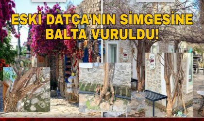 ESKİ DATÇA’NIN SİMGESİNE BALTA VURULDU!