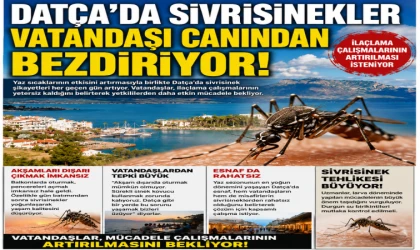 Datça'da Sivrisinekler Vatandaşı Canından Bezdiriyor Vatandaşlar İlaçlama Çalışmalarının Artırılmasını İstiyor