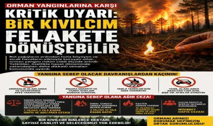 Orman Yangınlarına Karşı Kritik Uyarı: Bir Kıvılcım Felakete Dönüşebilir