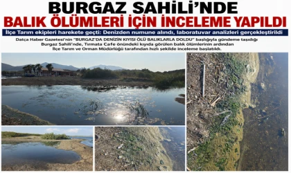 BURGAZ SAHİLİ’NDE BALIK ÖLÜMLERİ İÇİN İNCELEME YAPILDI