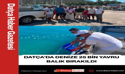 DATÇA’DA DENİZE 25 BİN YAVRU BALIK BIRAKILDI